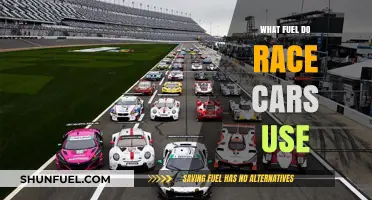 Race Car Fuel Types: Unleashing Speed with Specialized Power Sources