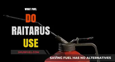 Exploring Raitarus' Energy Source: Unveiling Their Unique Fuel Requirements