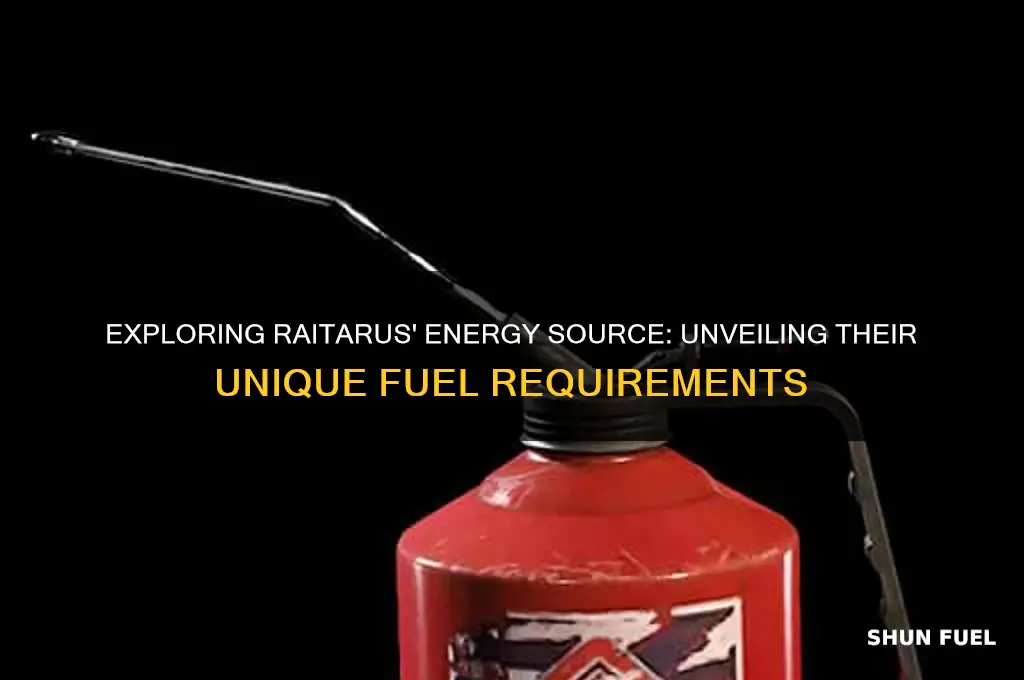 what fuel do raitarus use