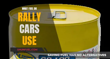 The Fuel of Rally Cars: Powering the Race Machines