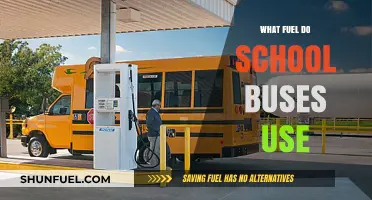 What Fuel Powers School Buses? Exploring Common Types and Alternatives