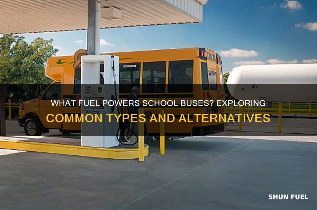what fuel do school buses use