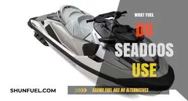 What Fuel Do Sea-Doos Use? A Comprehensive Guide for Owners