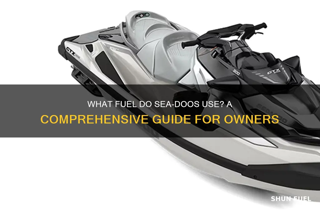 what fuel do seadoos use