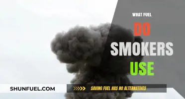 What Fuel Do Smokers Use? Exploring the Basics of Smoking Fuels
