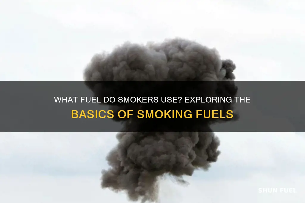 what fuel do smokers use