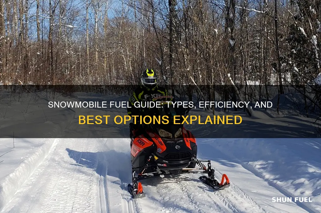 what fuel do snowmobiles use