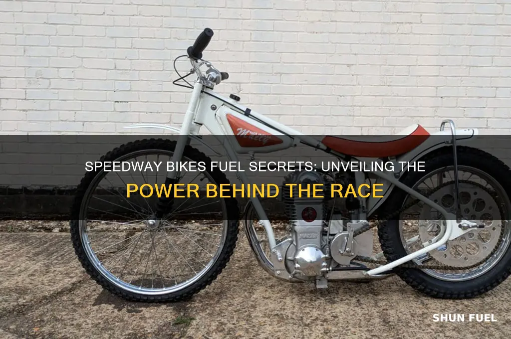 what fuel do speedway bikes use