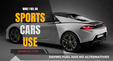 Sports Car Fuel: What Powers the Speed Machines?