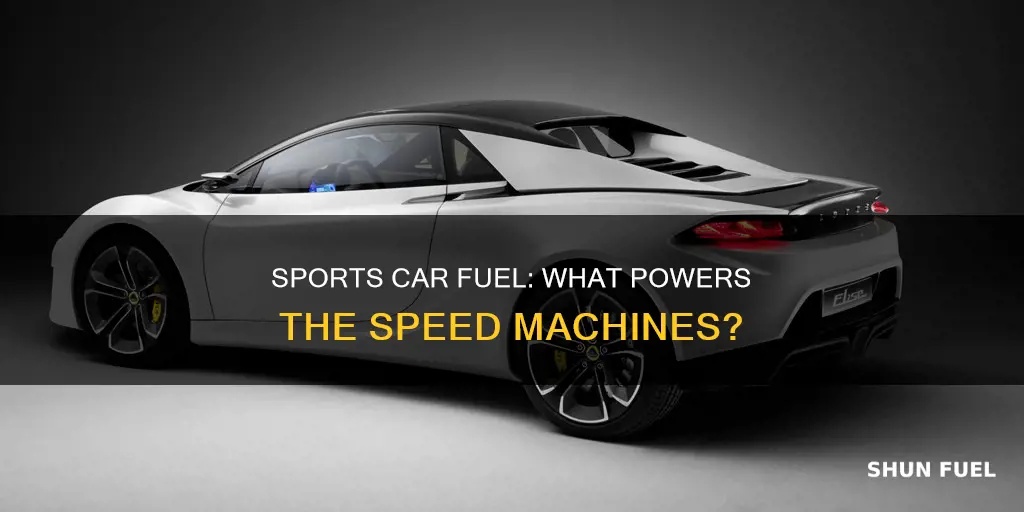 what fuel do sports cars use