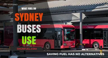 Sydney Buses Fuel: Diesel, Biodiesel, or Alternative Energy Sources?