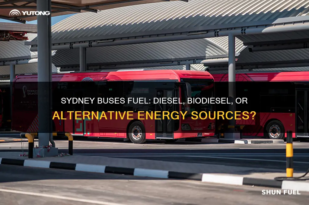 what fuel do sydney buses use