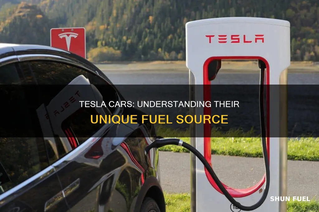 what fuel do tesla cars use