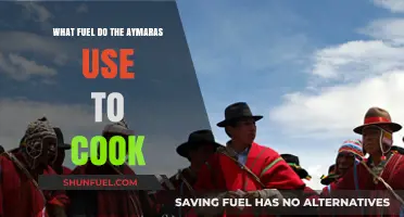 Traditional Aymara Cooking Fuel: A Look at Their Unique Kitchen Practices