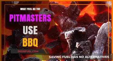 Pitmaster Secrets: Unveiling the Ultimate BBQ Fuel Choices