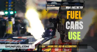 Top Fuel Cars: The Power Behind the Race