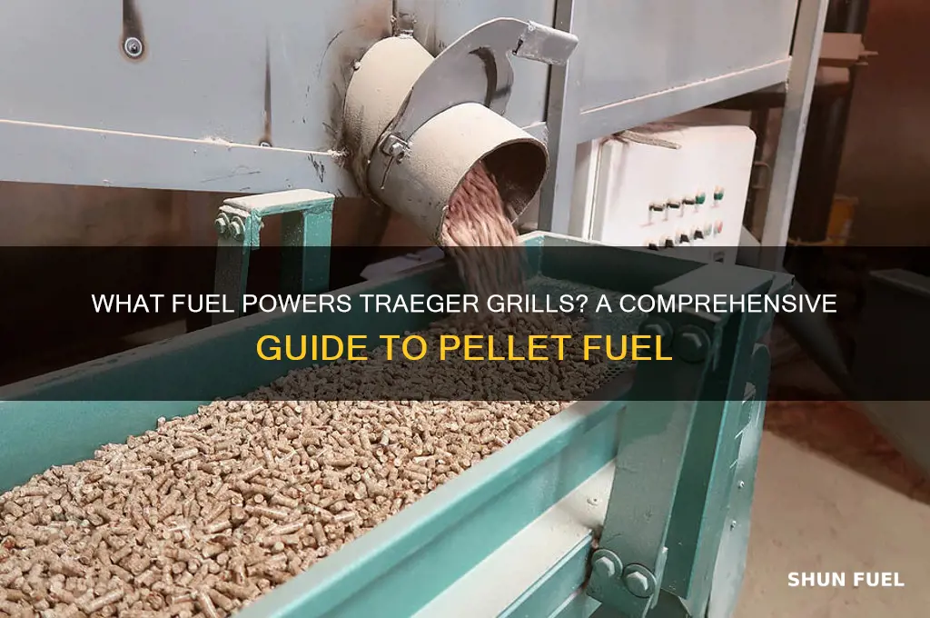 what fuel do traeger grills use