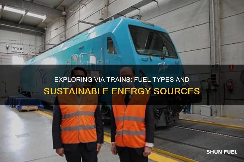 what fuel do via trains use