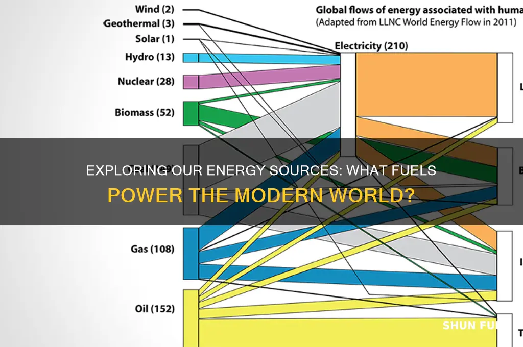 what fuel do we have