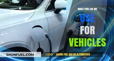 Exploring Vehicle Fuels: Gasoline, Diesel, Electric, and Beyond