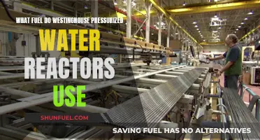 Westinghouse Pressurized Water Reactors: Fueling the Future with Uranium