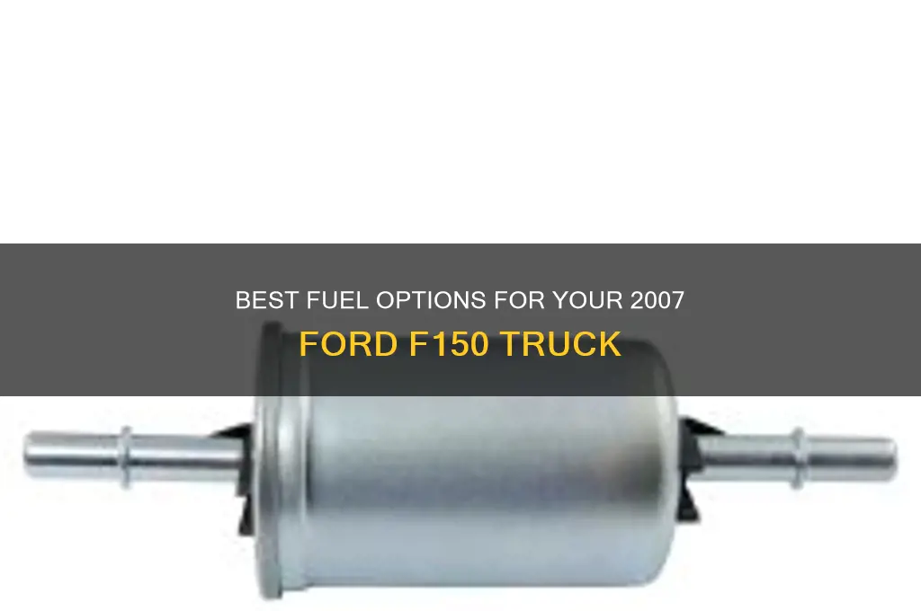 what fuel do you use for 2007 f150