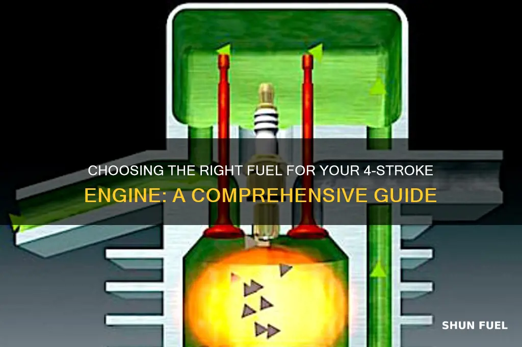 what fuel do you use for a 4-stroke engine