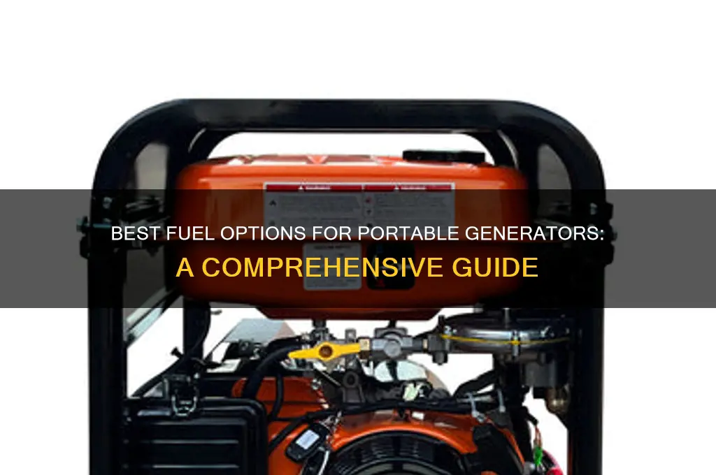 what fuel do yu use for a portale generator