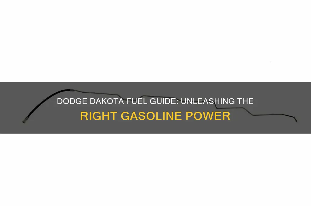 what fuel dodge dakota take