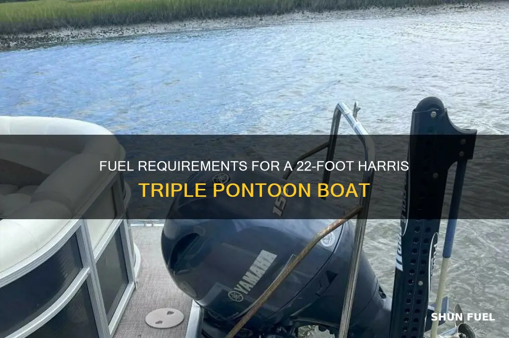 what fuel does 22 foot harris triple pontoon use