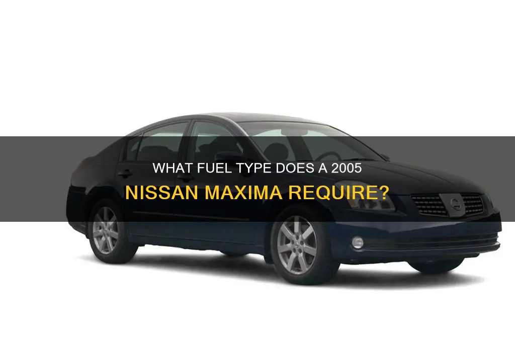 what fuel does a 05 nissan maxima use