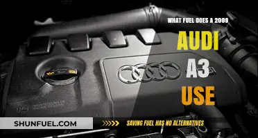 2009 Audi A3 Fuel Type: Gasoline or Diesel Options Explained