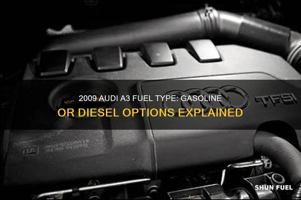 what fuel does a 2009 audi a3 use
