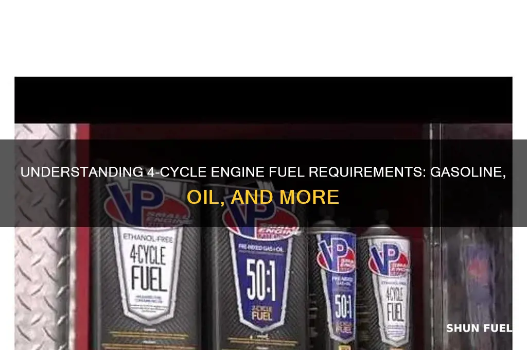 what fuel does a 4 cycle engine use