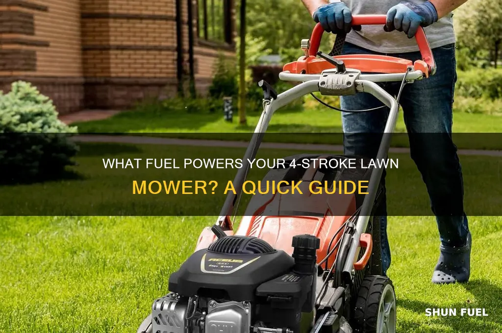 what fuel does a 4 stroke lawn mower use