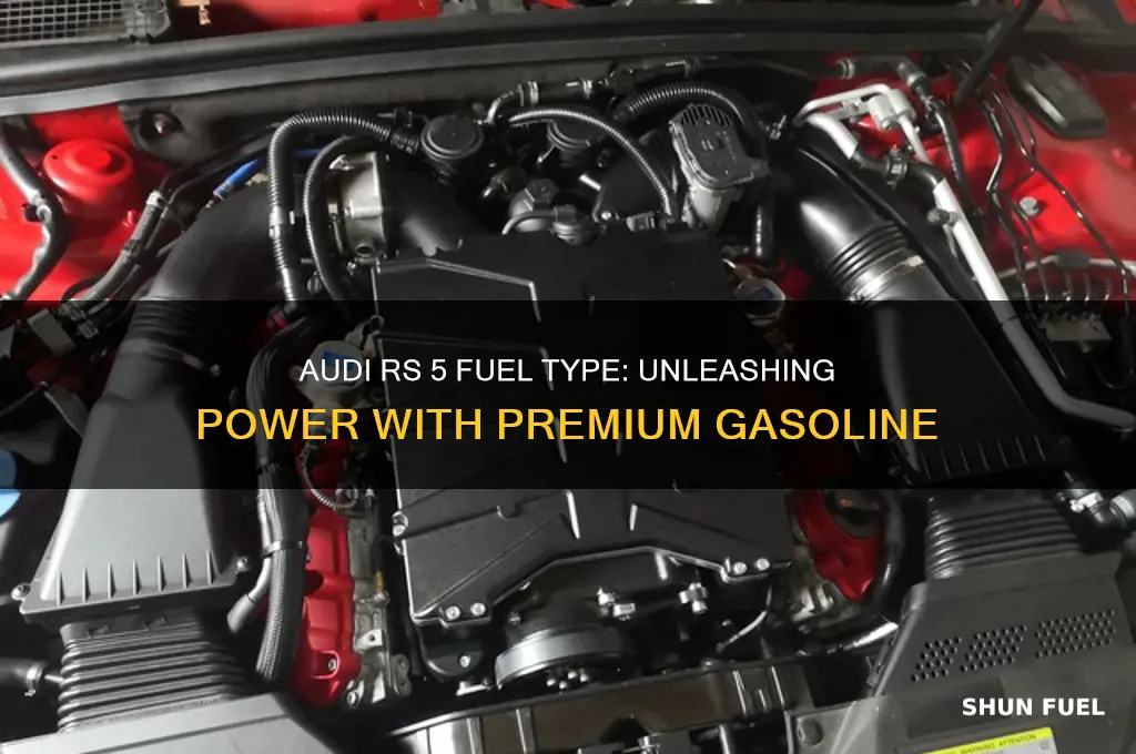 what fuel does a audi rs 5 use