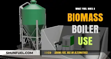 Biomass Boiler Fuel Types: Sustainable Options for Efficient Heating