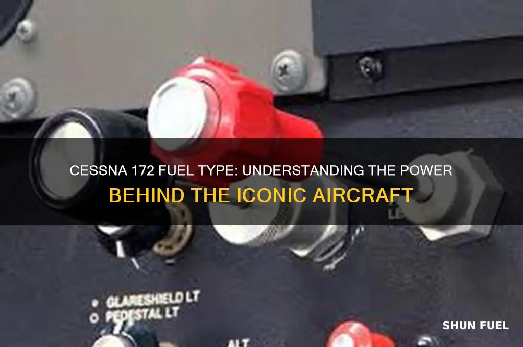 what fuel does a cessna 172 use