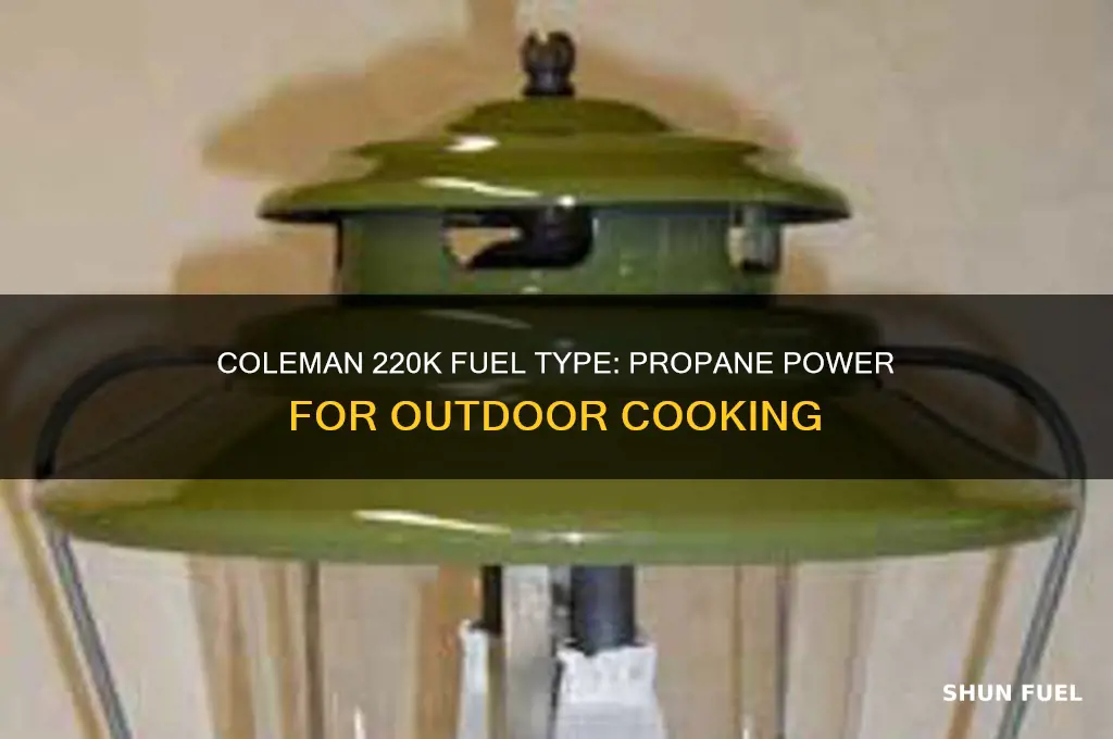 what fuel does a coleman 220k use