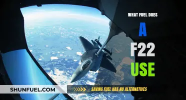 What Fuel Powers the F-22 Raptor: A Comprehensive Guide