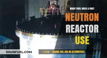Fast Neutron Reactors: Unveiling the Unique Fuel Source Powering Advanced Nuclear Energy