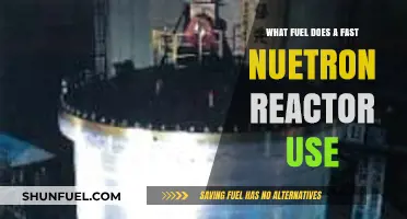 Fast Neutron Reactors: Unveiling the Unique Fuel Source Powering Advanced Nuclear Energy