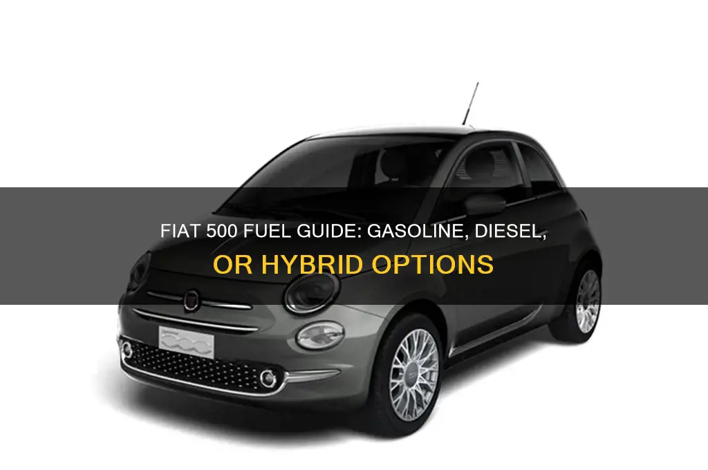 what fuel does a fiat 500 use