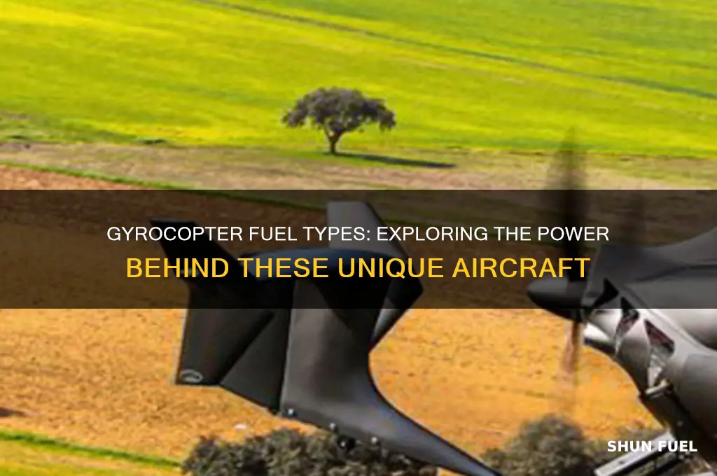 what fuel does a gyrocopter use