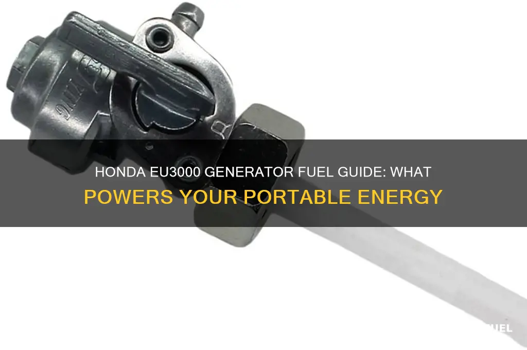 what fuel does a honda eu3000 generator use