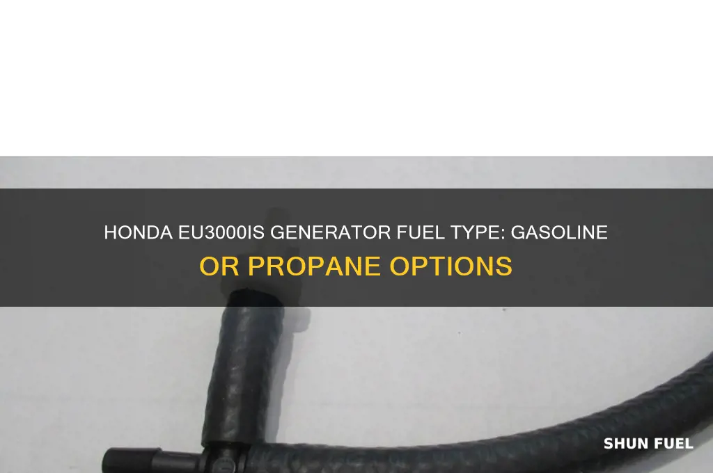 what fuel does a hondaeu 300 generator use