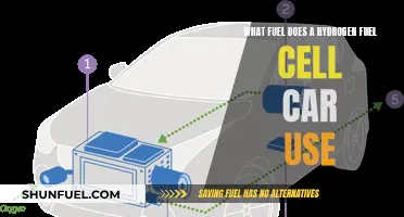 Hydrogen Fuel Cell Cars: The Future of Driving?