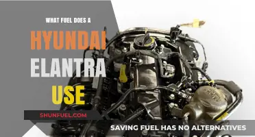 Hyundai Elantra Fuel Type: Gasoline, Efficiency, and Performance Explained