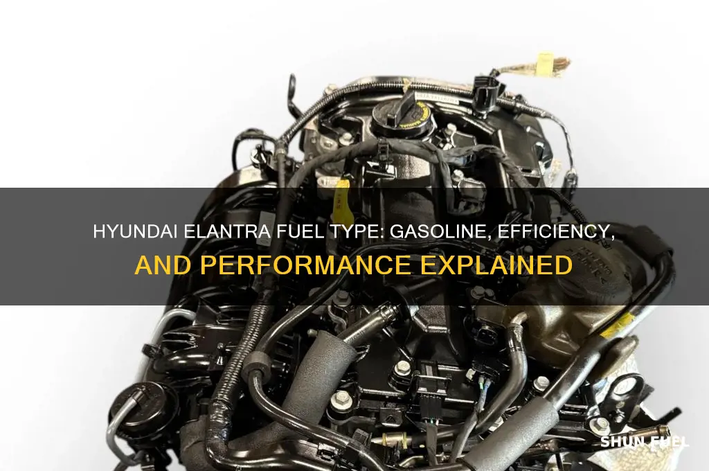 what fuel does a hyundai elantra use