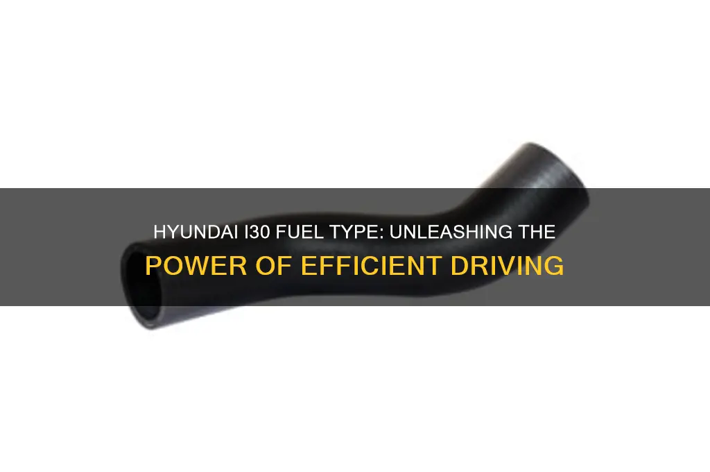 what fuel does a hyundai i30 use